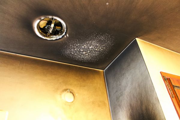 Smoke Damage Removal in Palmetto